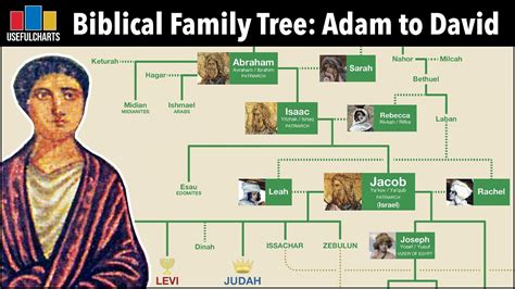 biblical family tree  adam  david biblical family tree episode  thejesusculture