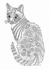 Coloring Cat Pages Adults Adult Printable Colouring Animal Books Book Mandala Aikuisille Värityskuvia Cats Kitten Kittens Detailed Color Värityskirjat Kleurplaten sketch template