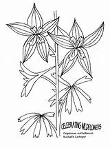 Delphinium Designlooter Lilac sketch template