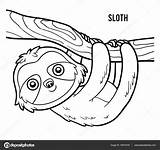 Sloth Sloths sketch template