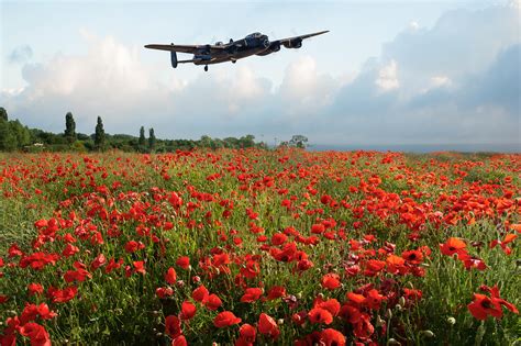 F L I G H T A R T W O R K S Poppies And Avro Lancaster