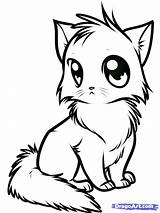 Kitty Coloring Cat Pages Printable Colouring Color Print Getcolorings Baby sketch template