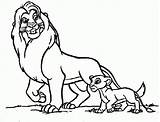 Mufasa Coloring Pages Simba Popular Colouring Kids Comments Coloringhome sketch template