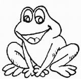 Frosch Animale Frogs Rana Rane Colorat Broscuta Ausmalbild Planse Malen Dibujo Copilul Stampa Malvorlagen Tiddalick Clipartbest Clipartmag Dart Catching Fly sketch template