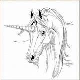 Unicorn Furberg Horses sketch template