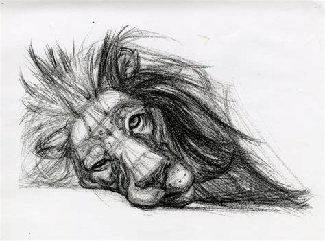 candace giancanelli animal drawings