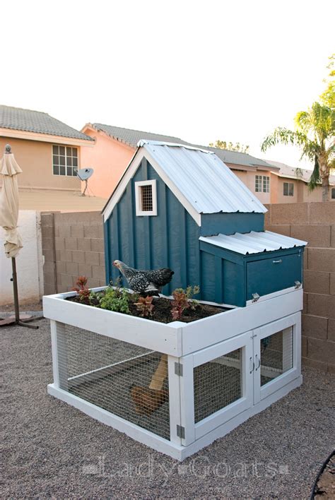 small chicken coop  planter clean  tray