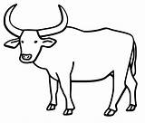 Ox Carabao Coloring Gnu Carabaos Drawi Clipground Pinclipart Clipartmag sketch template