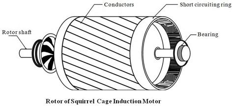 squirrel cage induction motor  engineering projects