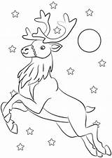 Reindeer Colouring Flying Drawing Colour Christmas Printable Sky Night Vectors Clipart Through Printables Premium sketch template
