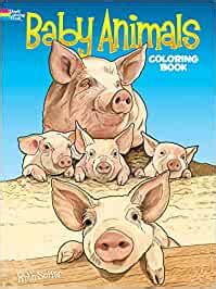 baby animals coloring book soffer ruth  books amazonca