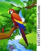 parrot clipart illustrations  parrot clip art vector eps drawings   search