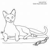 Cat Siamese Drawing Coloring Line Color Drawings Own Pages Paintingvalley Layingdown sketch template