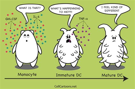 science comics science memes flow cytometry lab humor cell forms eukaryotic cell lab week