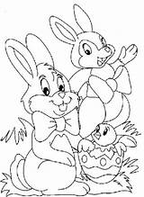 Colorat Pascua Planse Conejo Conejos Iepurasul Iepurasi Pasqua Conigli Cuento Coelhos Copii Pastele Plansa sketch template