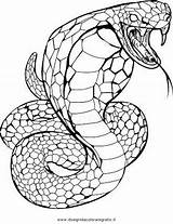 Serpenti Serpente Animali Coloratutto sketch template