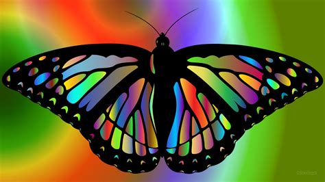 beautiful wallpaper colorful butterflies   hd
