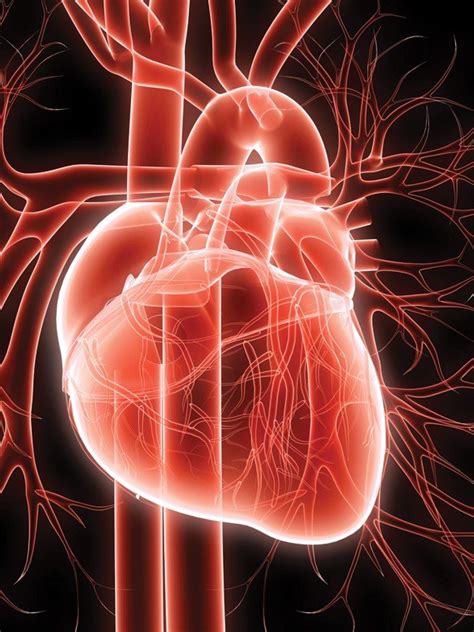 cannabinoids   revive individuals  cardiac arrest