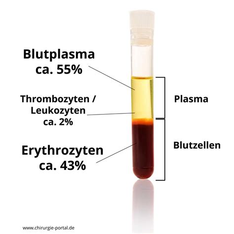 ist ein blutbild