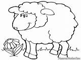Domba Mewarnai Kambing Diwarnai Sheep Sketsa Kartun Shaun Lukisan Anak Kandang Dan Lucu Nerf Inspirasi Kolam Ternak Timmy Haiwan sketch template