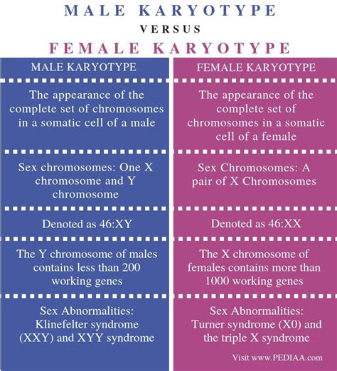 What Is The Difference Between Male And Female Karyotypes Pediaa Com