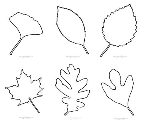 fall leaf preschool printables preschool mom
