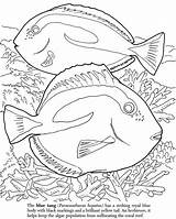 Reef Barrier Coloring Great Fish Coral Pages Book Dover Publications Print Drawing Ocean Color Kids Animal Printable Colouring Samples Weekly sketch template