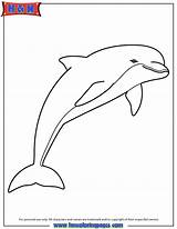 Dolphin sketch template