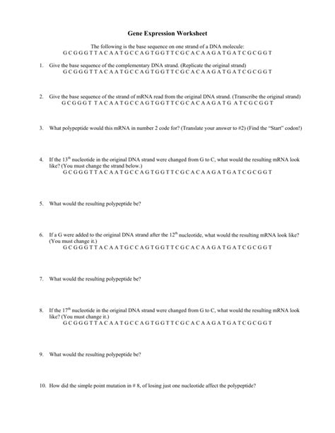 gene expression worksheet