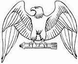 Burung Aquila Colorare Sketsa Garuda Lazio Reale Sindunesia sketch template