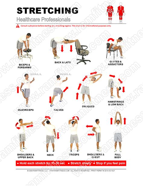 printable stretching exercises  seniors