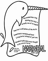 Narwhal Crayola Jelly Recognition Motor sketch template