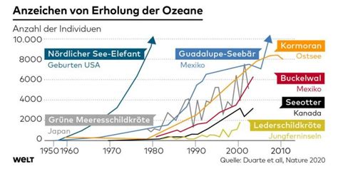 jahren koennten sich die ozeane komplett erholt haben die gute