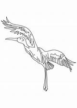 Coloring Crane Whooping Pages Birds Recommended Cranes sketch template