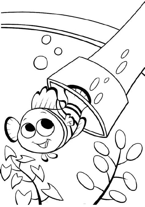 printable nemo  fish coloring pages finding nemo coloring pages