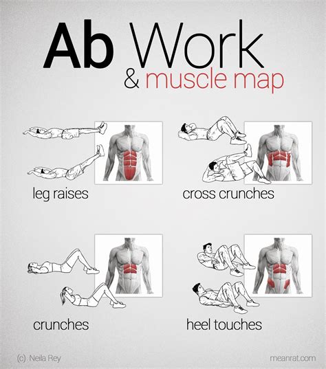 ab work  muscle map target groups  abdominal muscles