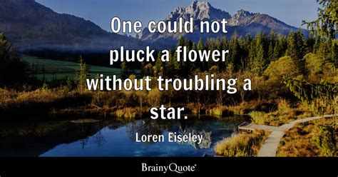 loren eiseley    pluck  flower