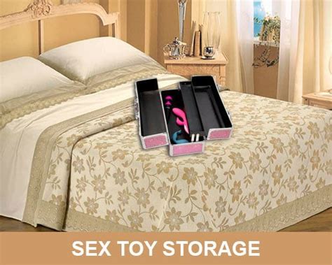 sex toy cleaners sex toy storage sex toy accessories