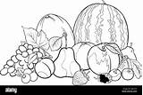 Frutas Verduras Frutta Colorare Google Vettoriale Colorir Alimentos Ilustracja Izakowski Kolorowanka Grupa Drawings Flores Ilustración Getdrawings sketch template