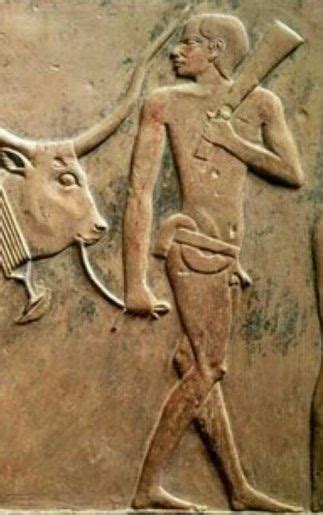 Old Kingdom Circumcised Man Leading An Ox With Spectacular Horns