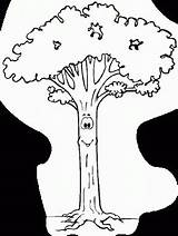 Coloring Pages Tree Oak Popular Other sketch template