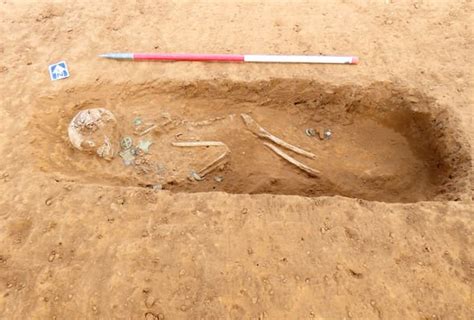 archaeology news anglo saxon cemetery excavation unearths
