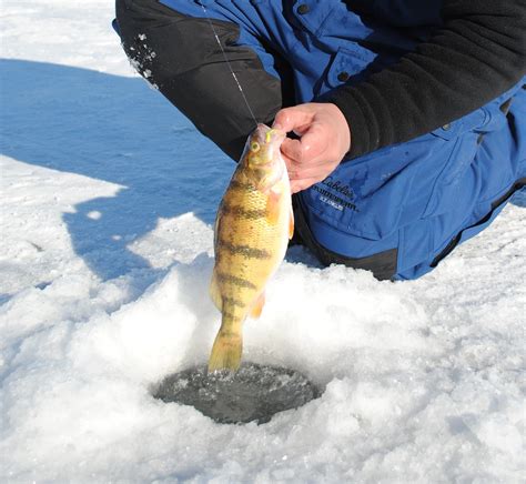 tips  mid season ice fishing outdoorhub