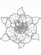 Camellia Coloring Flower Pages Flowers Printable Recommended sketch template