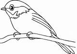 Bird Outline Clipart Drawing Coloring Printable Library Pages Cute sketch template