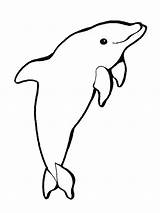 Dolphin Drawing Printable Coloring Pages Color Drawings Clipart Animal Colouring Cliparts Clip Coloringme Whale Cartoon Papan Pilih sketch template