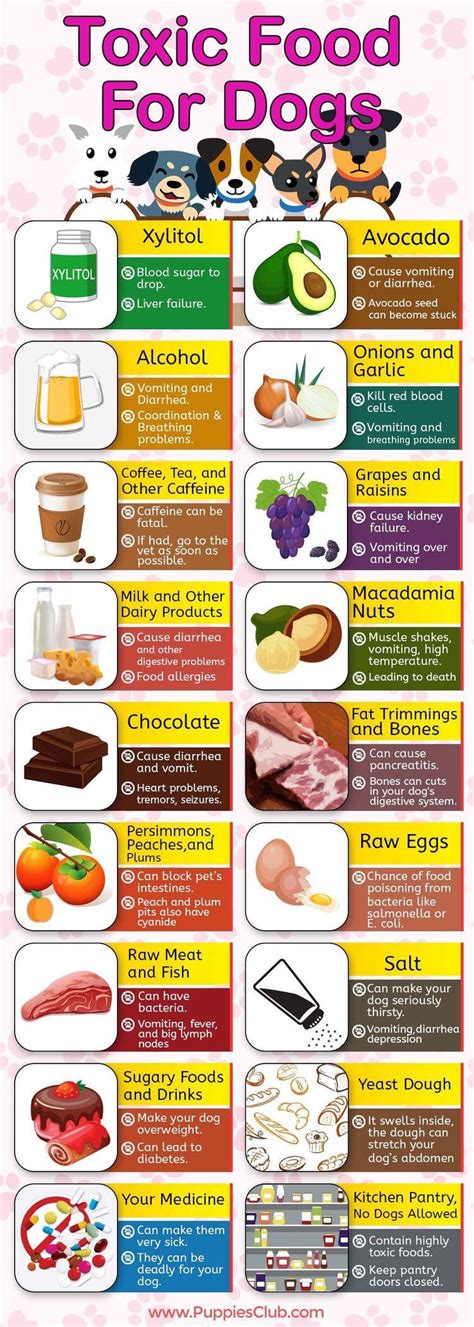 toxic food  dogs coolguides