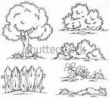 Arbustos Para Colorear Arbusto Dibujo Dibujos Plantas Coloring Guardado Childrencoloring Desde Actividades sketch template