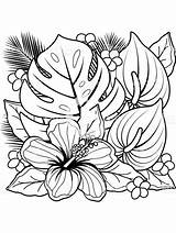 Coloring Adultos Planten Kleurplaat Jungle Hibiscus Madamteacher Gaddynippercrayons sketch template