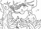 Coloring Pages Adam Eve Garden Sunday School Number sketch template